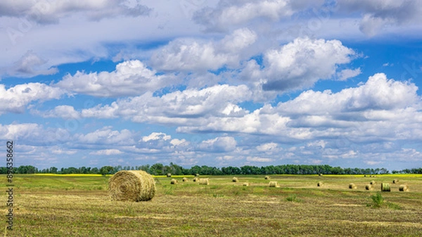 Fototapeta Hay bales under a big Saskatchewan summer sky
