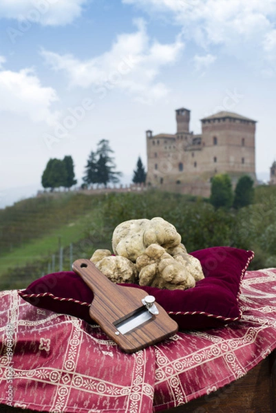 Fototapeta White truffles from Piedmont Italy