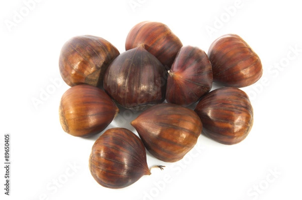 Fototapeta with wild chestnuts hedgehogs