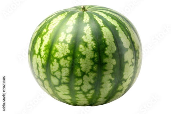 Fototapeta One single watermelon