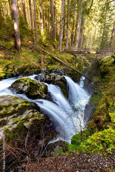 Obraz Sol Duc Waterfall