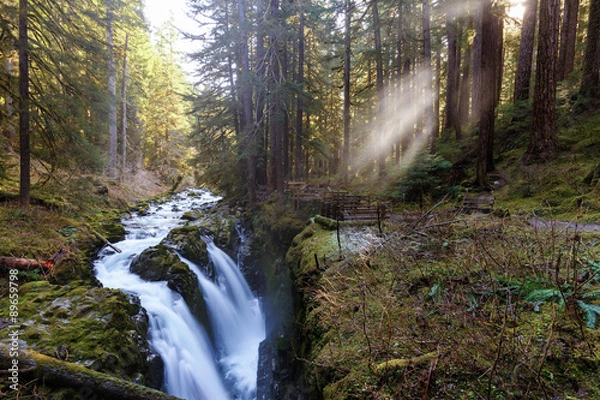 Obraz Sol Duc Waterfall