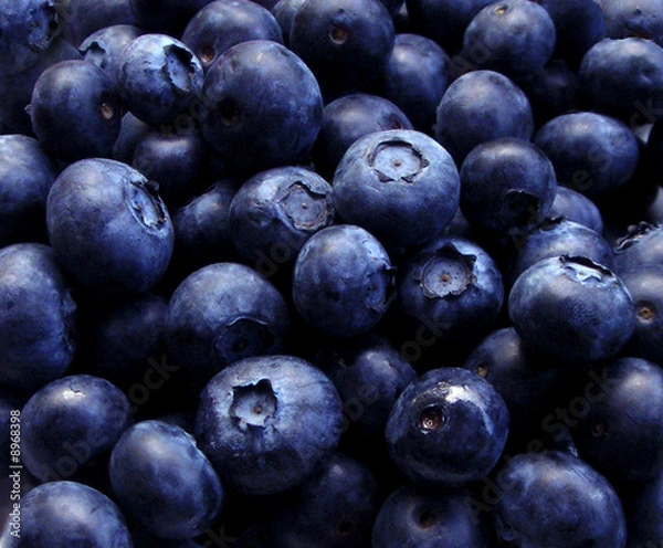 Obraz bulk blueberries closeup