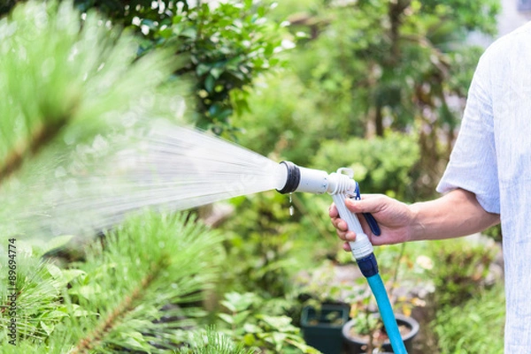 Fototapeta 水やり