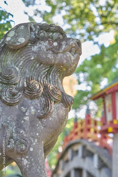 Fototapeta 獅子舞