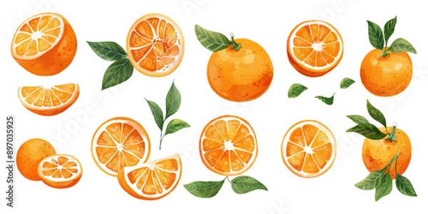 Fototapeta Set of oranges on a white background