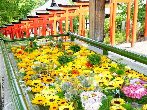 Obraz 北海道の夏詣 小樽住吉神社の花手水
