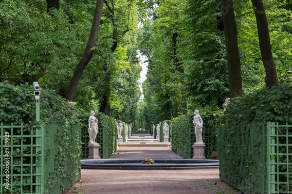 Fototapeta Летний сад в Санкт Петербурге Россия.