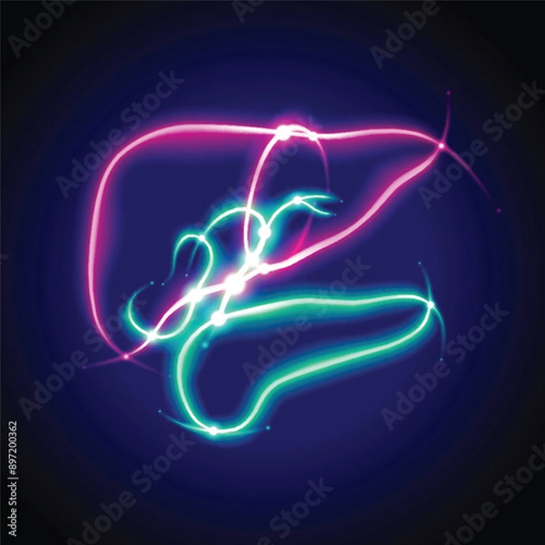 Fototapeta The illustration of the human liver and pancreas is presented in a glowing neon green-red line style on a dark blue background.