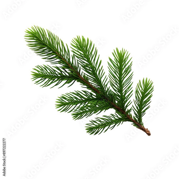 Obraz a green branch with long needles