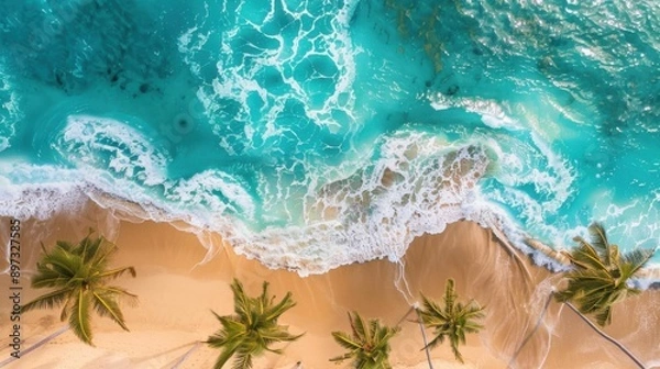 Fototapeta Ocean and Palms