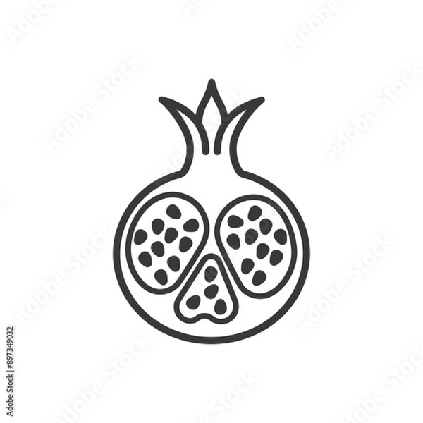 Fototapeta Line Drawing of a Pomegranate Cut in Half