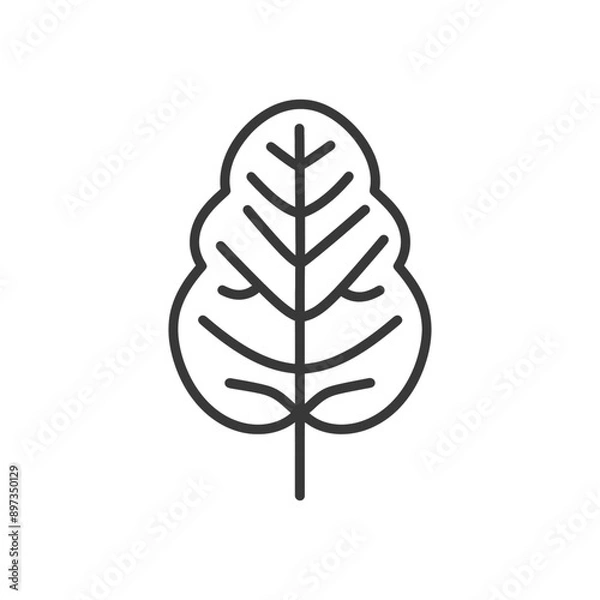 Fototapeta Line Art Illustration of a Single Leaf with Veins