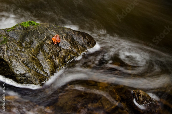 Obraz Stein im Wasser