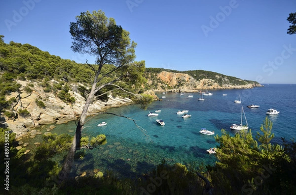 Obraz Sentier du littoral dans le Var.
