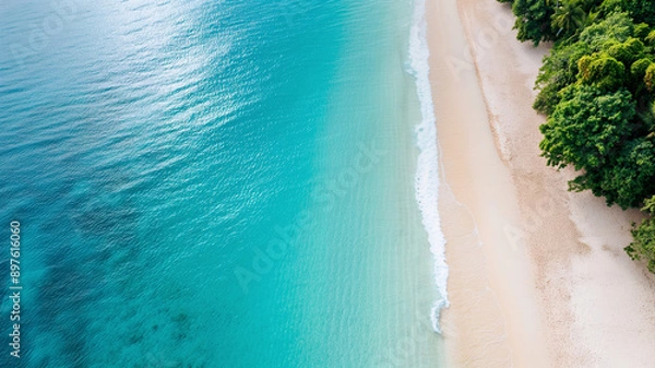 Fototapeta A breathtaking aerial view of a tranquil beach with clear turquoise waters and lush green foliage lining the sandy shore.