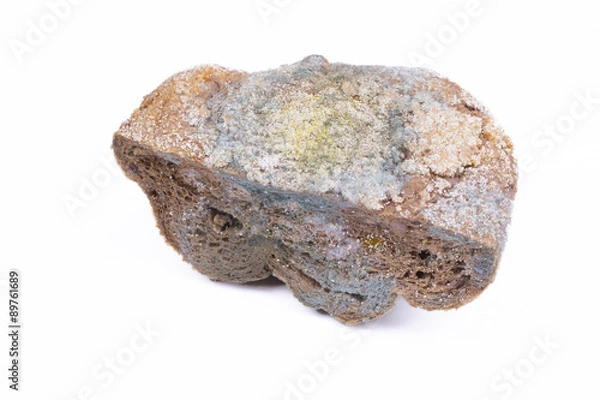 Fototapeta Mouldy bread