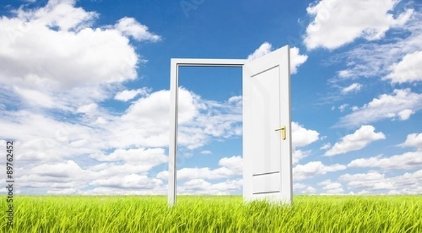 Obraz Łąka i drzwi