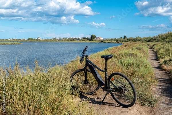 Obraz un vélo électrique posé au bord d'un étang, de Camargue sous un ciel bleu 