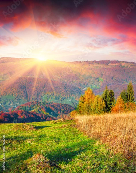Fototapeta Colorful autumn sunrise in the Carpathian mountains.