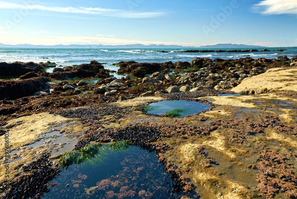Obraz Tide Pool Landscape Botanical Beach BC. Tidepool landscape carved into the rocky shelf at Botanical Beach filled with marine life. Near Port Renfrew BC. 

