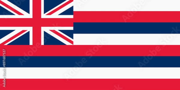 Obraz Hawaii State Flag background illustration