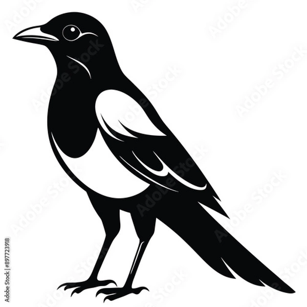 Obraz Black magpie silhouette on white background