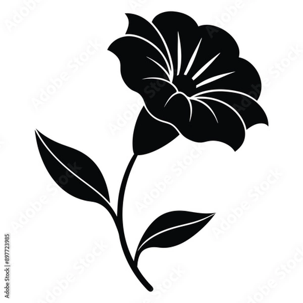 Fototapeta Minimalist petunia flower with stems and leaves