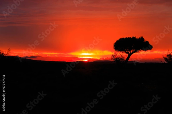Obraz Südarika, Landschaft