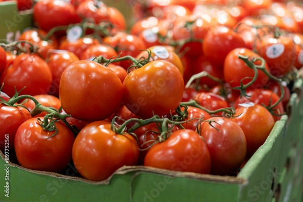 Obraz Close-up image of organic tomatoes displayed at a supermarket.