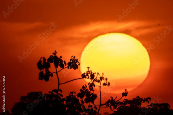 Obraz Sun in the horizon