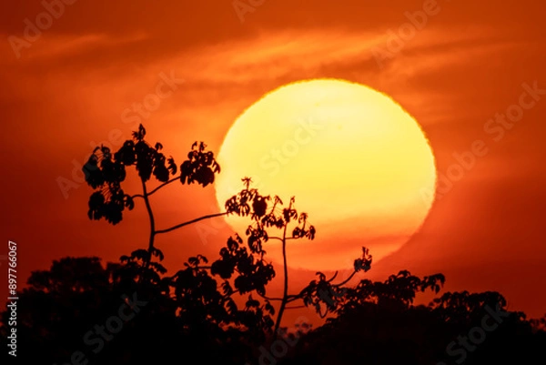 Obraz Sun in the horizon