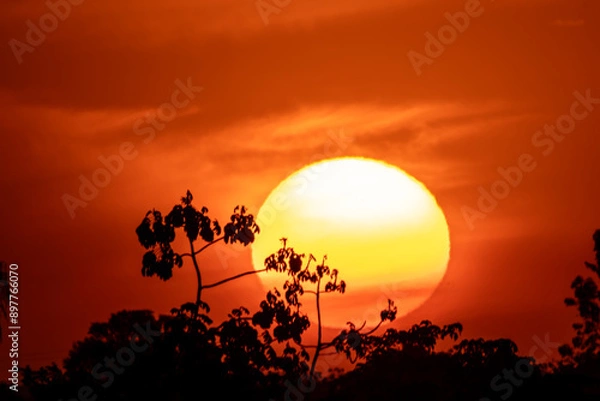 Obraz Sun in the horizon