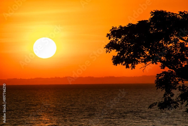 Obraz sunset on the lake