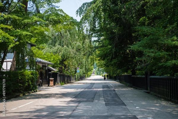 Obraz  秋田県角館武家屋敷通り