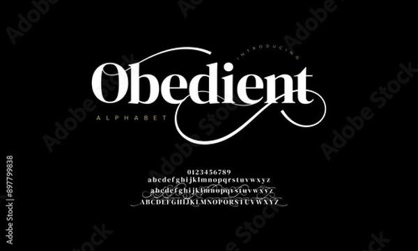 Fototapeta Obedient swash luxury elegant alphabet letters and numbers. Vintage wedding typography classic serif font decorative vintage retro. creative vector illustration