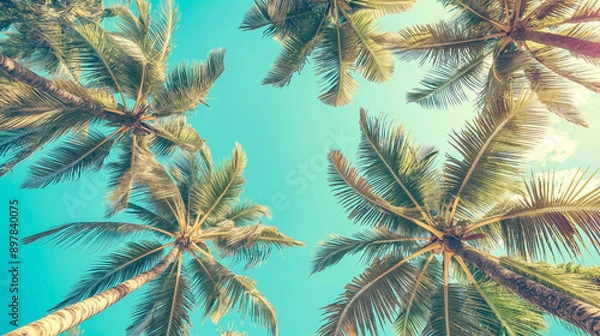 Fototapeta Looking up at blue sky and palm trees, view from below, vintage style, tropical beach and summer background, travel concept