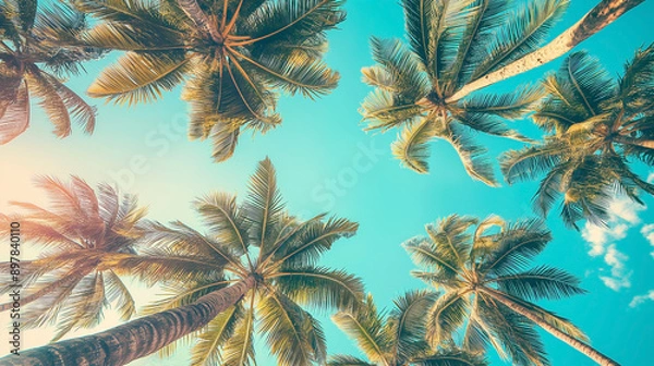 Fototapeta Looking up at blue sky and palm trees, view from below, vintage style, tropical beach and summer background, travel concept
