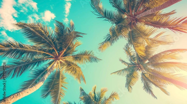 Fototapeta Looking up at blue sky and palm trees, view from below, vintage style, tropical beach and summer background, travel concept