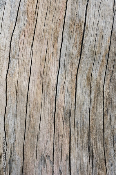 Fototapeta wooden texture pattern
