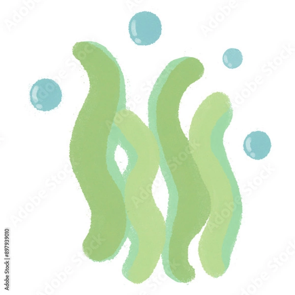 Obraz Seaweed in the sea