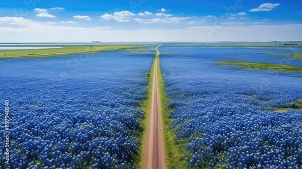 Obraz drone blue bonnet road