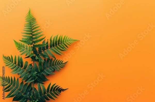 Obraz Single Green Fern Leaf on Orange Background Symbolizing Growth and Nature. Clean and Minimalistic Design for Product Packaging or Branding Materials.