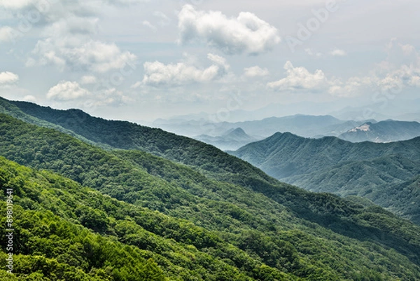 Fototapeta 한여름의 울창한 숲과 많은 산,하늘.