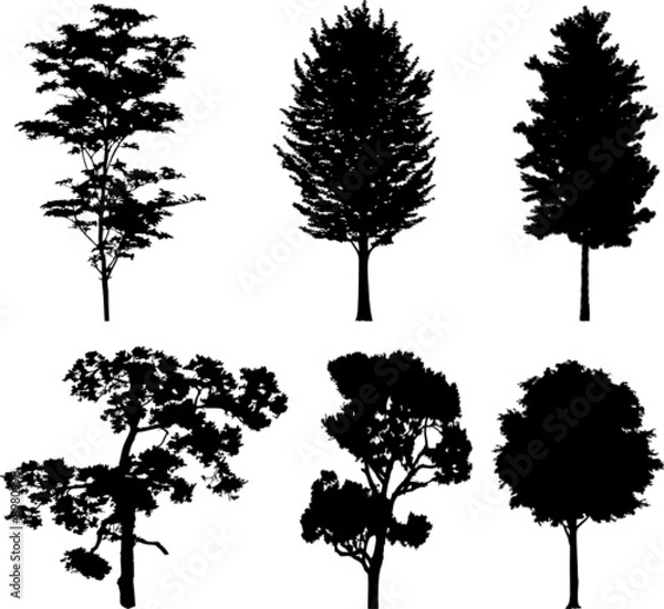 Fototapeta Set isolated trees. Silhouettes