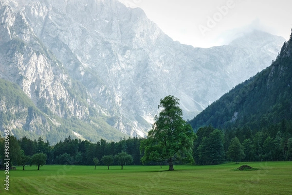 Obraz Logar Valley in Slovenia