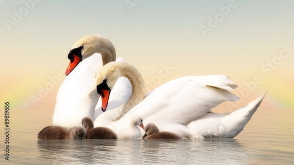 Obraz Swan Family - 3D Render