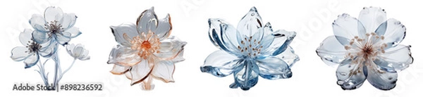 Obraz Collection of ice flower sculptures. Frozen beauty.