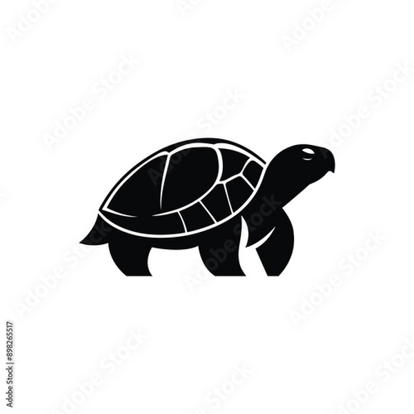 Fototapeta Graceful Turtle Vector Silhouette