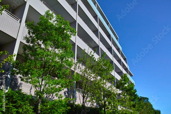 Fototapeta マンションと植木と青空